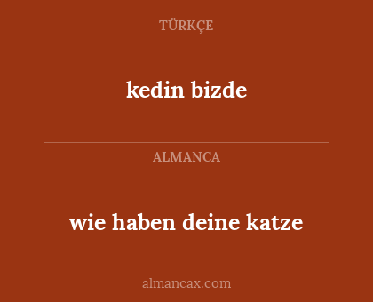 kedin bizde - wie haben deine katze