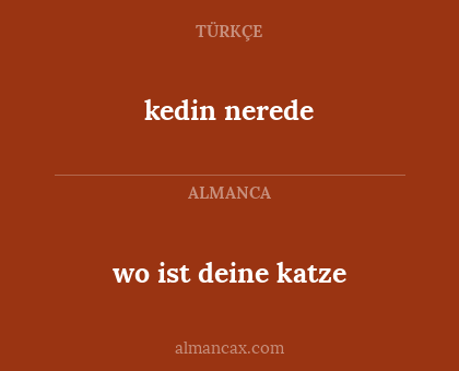 wo ist deine katze - kedin nerede