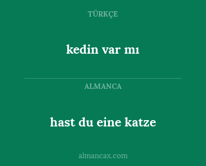 kedin var mı - hast du eine katze