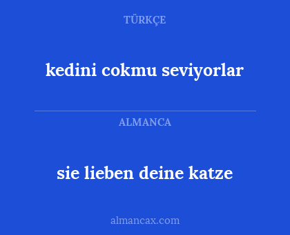 kedini cokmu seviyorlar - sie lieben deine katze