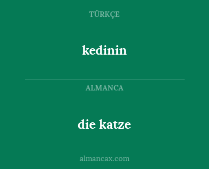 die katze - kedinin