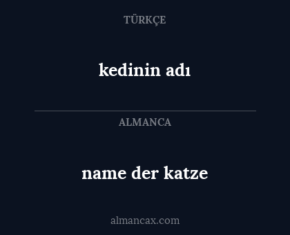 name der katze - kedinin adı