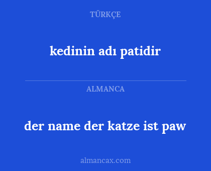 kedinin adı patidir - der name der katze ist paw
