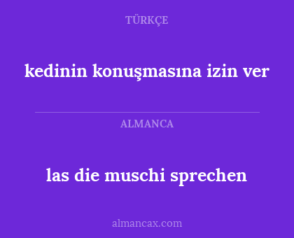 kedinin konuşmasına izin ver - las die muschi sprechen