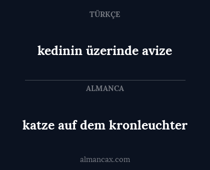 kedinin üzerinde avize - katze auf dem kronleuchter