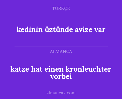 katze hat einen kronleuchter vorbei - kedinin üztünde avize var