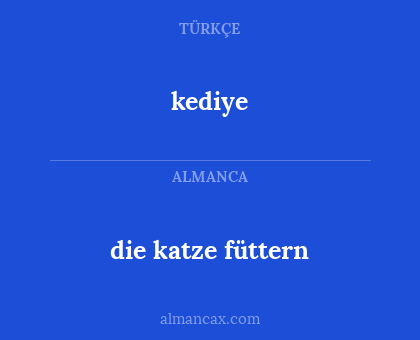 kediye - die katze füttern