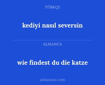kediyi nasıl seversin - wie findest du die katze
