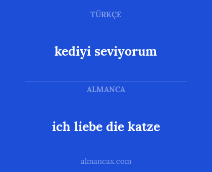 kediyi seviyorum - ich liebe die katze