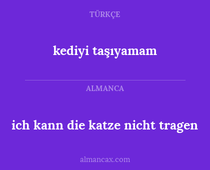 ich kann die katze nicht tragen - kediyi taşıyamam