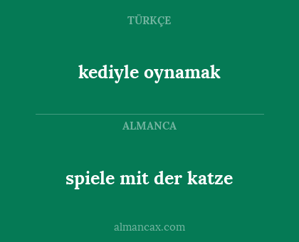 kediyle oynamak - spiele mit der katze