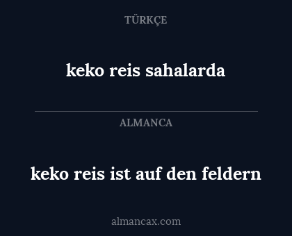 keko reis ist auf den feldern - keko reis sahalarda