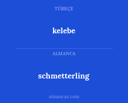schmetterling - kelebe