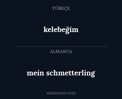 mein schmetterling - kelebeğim