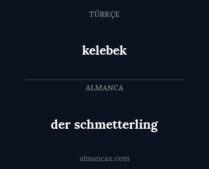 kelebek - der schmetterling