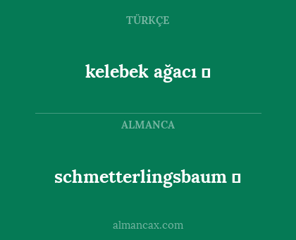 kelebek ağacı
✅ - schmetterlingsbaum ✅
