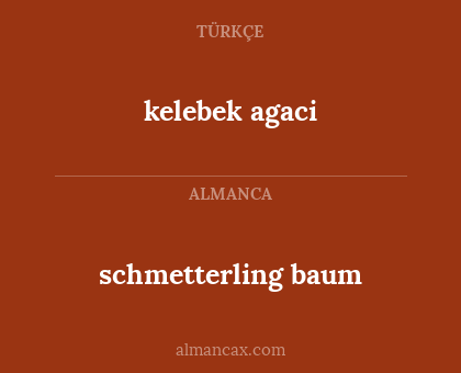 schmetterling baum - kelebek agaci