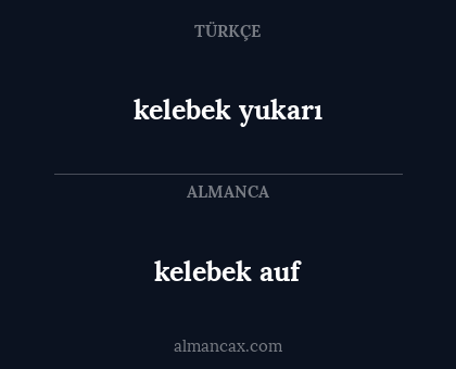 kelebek auf - kelebek yukarı
