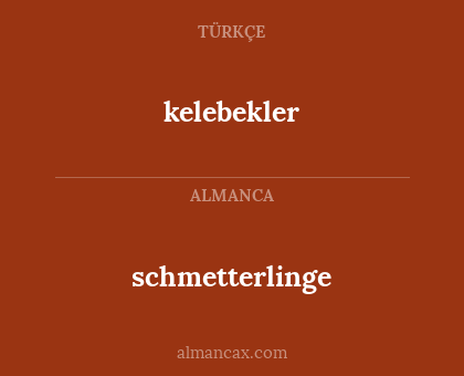 schmetterlinge - kelebekler