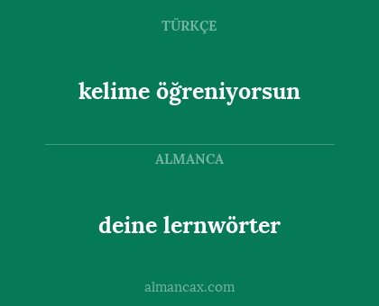 deine lernwörter - kelime öğreniyorsun
