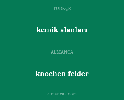knochen felder - kemik alanları