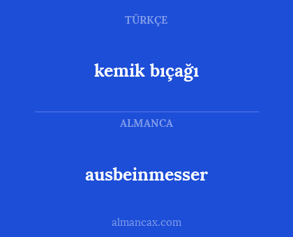 kemik bıçağı - ausbeinmesser