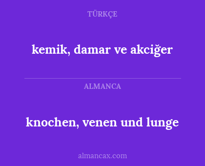 knochen, venen und lunge - kemik, damar ve akciğer