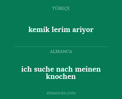 ich suche nach meinen knochen - kemik lerim ariyor