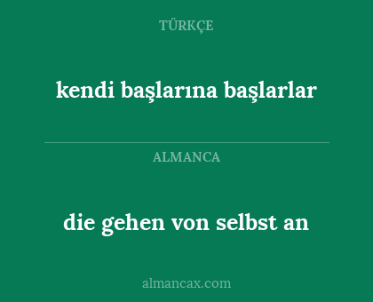 kendi başlarına başlarlar - die gehen von selbst an