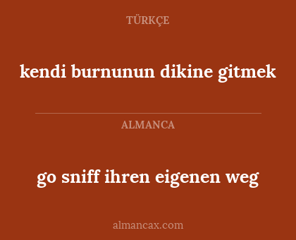 kendi burnunun dikine gitmek - go sniff ihren eigenen weg
