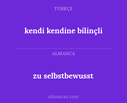 kendi kendine bilinçli - zu selbstbewusst
