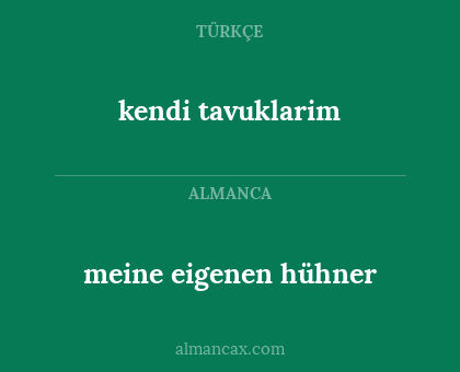 meine eigenen hühner - kendi tavuklarim