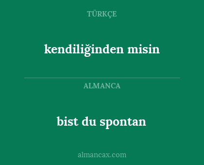 bist du spontan - kendiliğinden misin