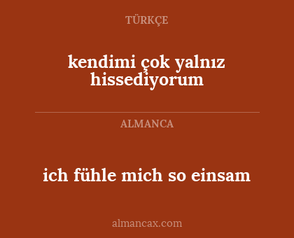 ich fühle mich so einsam - kendimi çok yalnız hissediyorum
