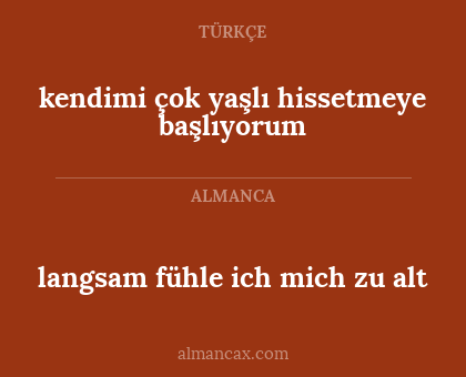 kendimi çok yaşlı hissetmeye başlıyorum - langsam fühle ich mich zu alt