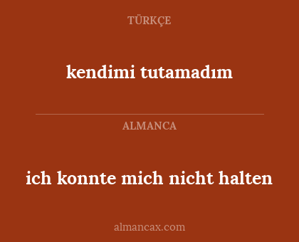 kendimi tutamadım - ich konnte mich nicht halten