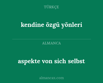 aspekte von sich selbst - kendine özgü yönleri