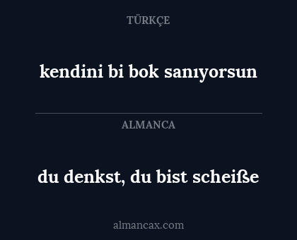 du denkst, du bist scheiße - kendini bi bok sanıyorsun
