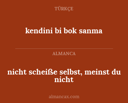 nicht scheiße selbst, meinst du nicht - kendini bi bok sanma