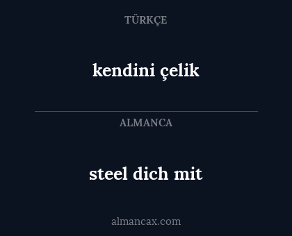 kendini çelik - steel dich mit
