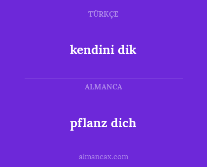 kendini dik - pflanz dich