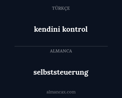 selbststeuerung - kendini kontrol