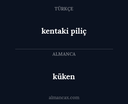 kentaki piliç - küken