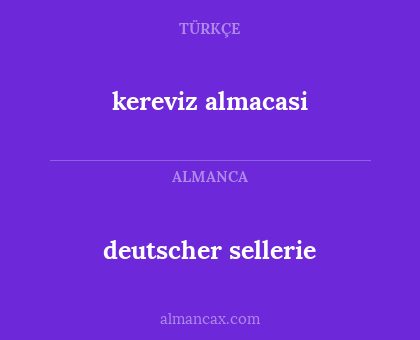 deutscher sellerie - kereviz almacasi