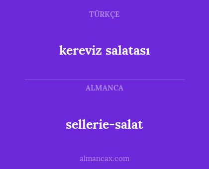 kereviz salatası - sellerie-salat
