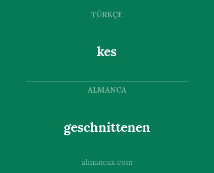 geschnittenen - kes