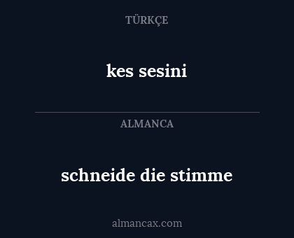 schneide die stimme - kes sesini