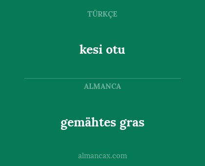 gemähtes gras - kesi otu