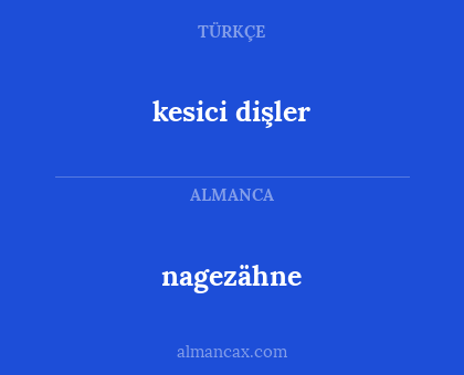 kesici dişler - nagezähne