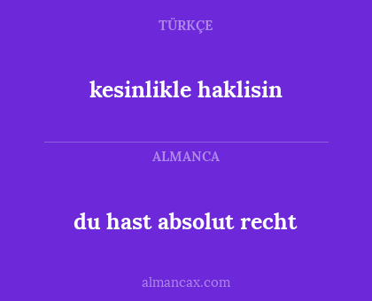 kesinlikle haklisin - du hast absolut recht